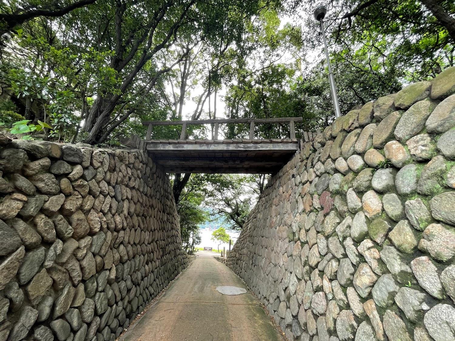 Cover Image for Kokokara