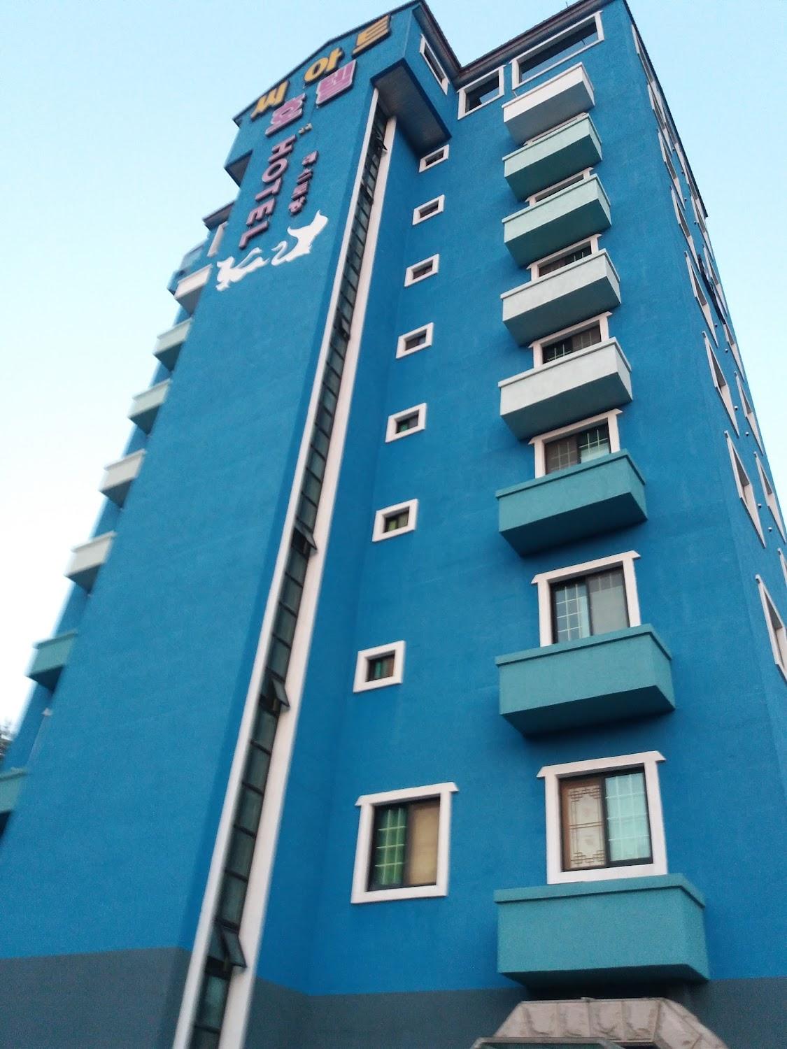 Cover Image for 씨아트호텔