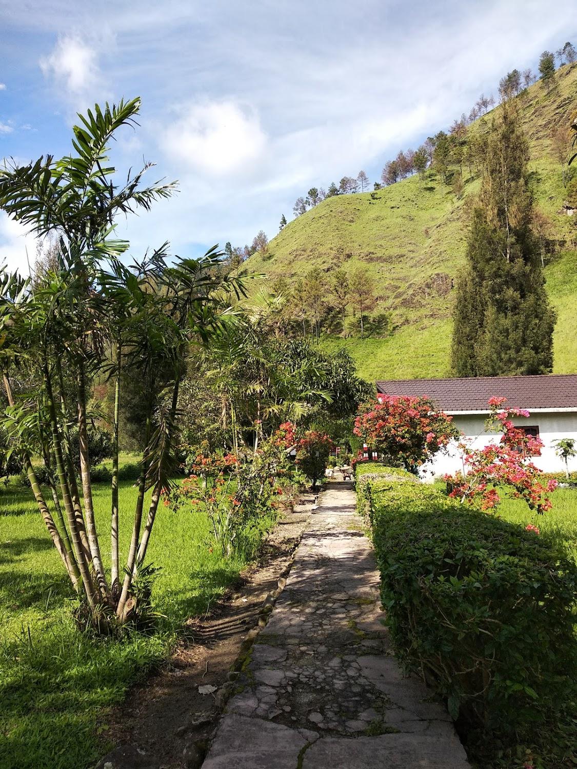 Cover Image for Roman Sinasi Hotel