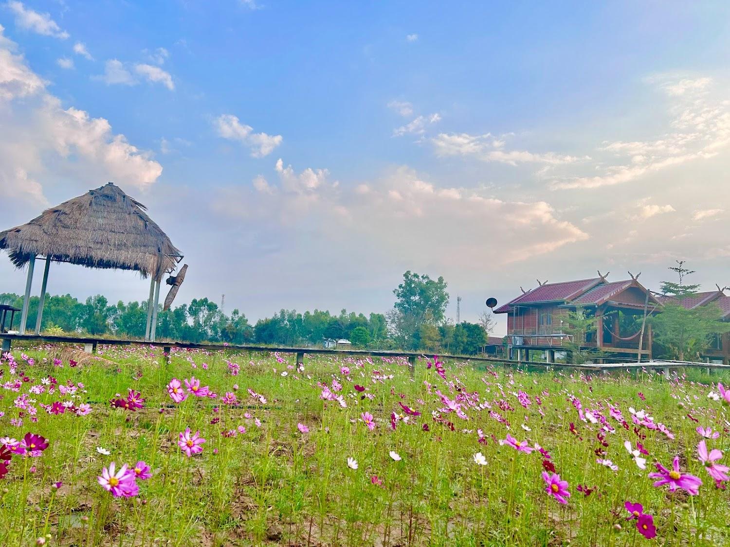 Cover Image for Rosemary Resort