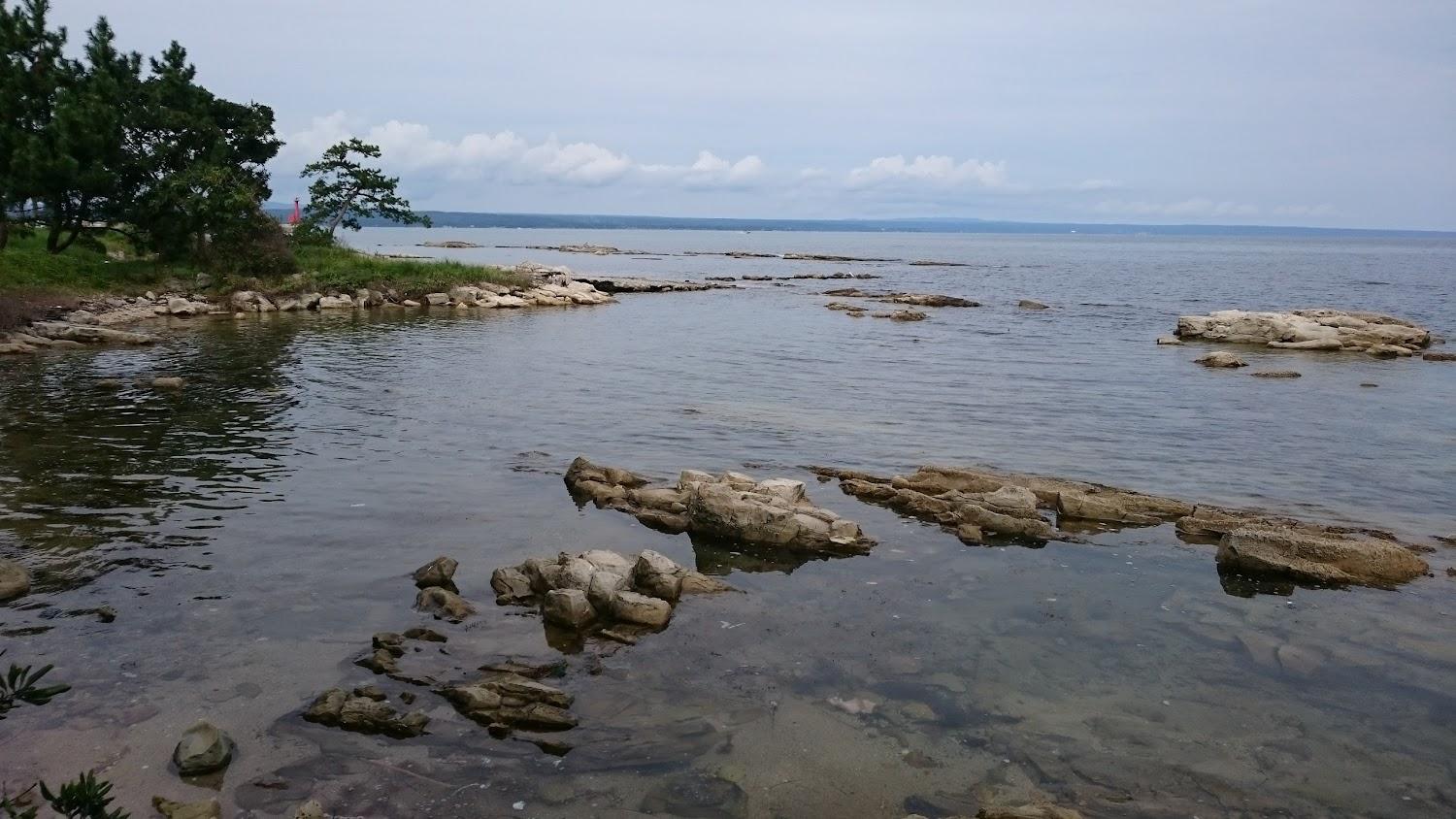 Cover Image for Katsuozaki Nature Education Children’s Campground