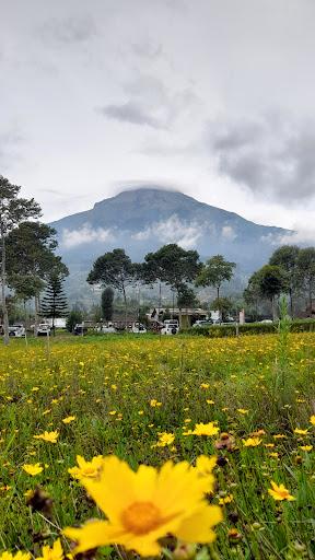 Cover Image for Kledung Park Sindoro Coffee House