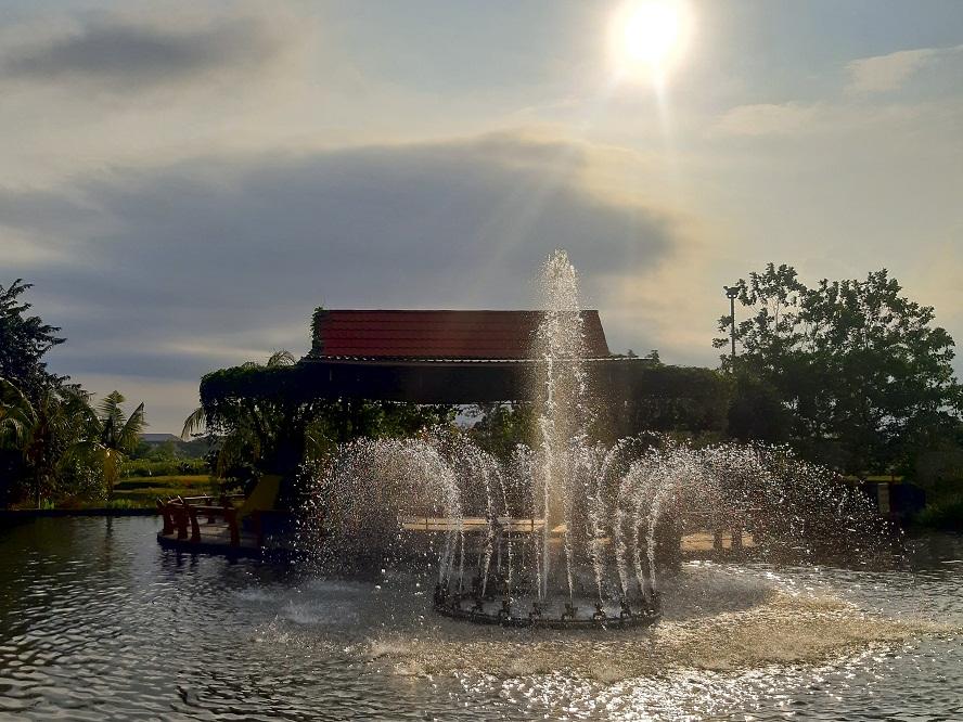 Cover Image for Rumah penginapan keluarga 4 kamar - Dissa guest house