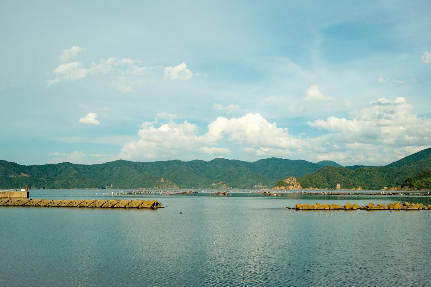 Cover Image for Wakasa Fugu Inn Shimojo