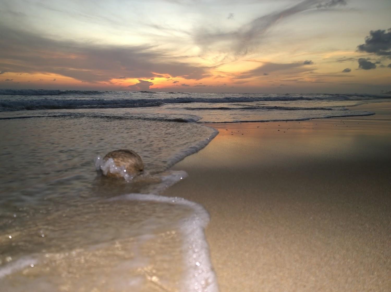 Cover Image for Aura Surf Resort