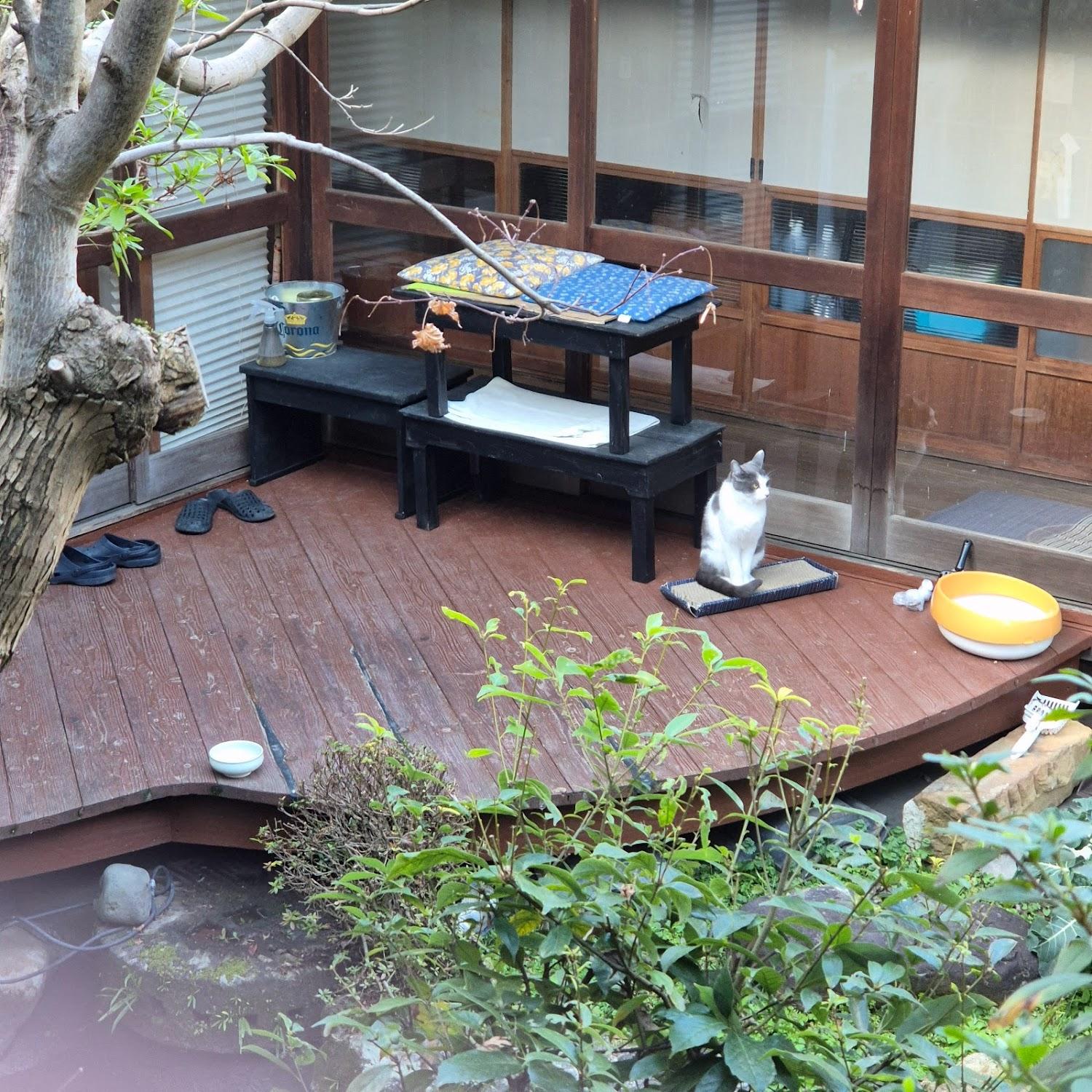 Cover Image for 続異人館 Guest House Zoku Ijinkan