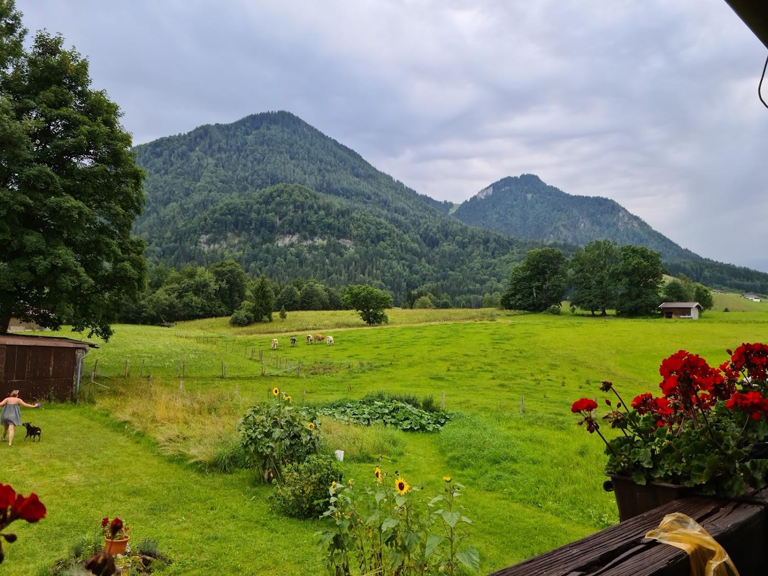 Cover Image for Pension Rauschberghof Inh. Petr Uher