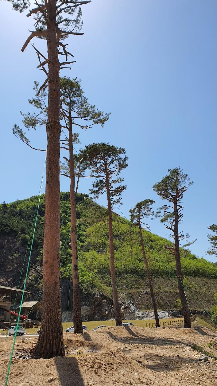 Cover Image for 청옥모텔
