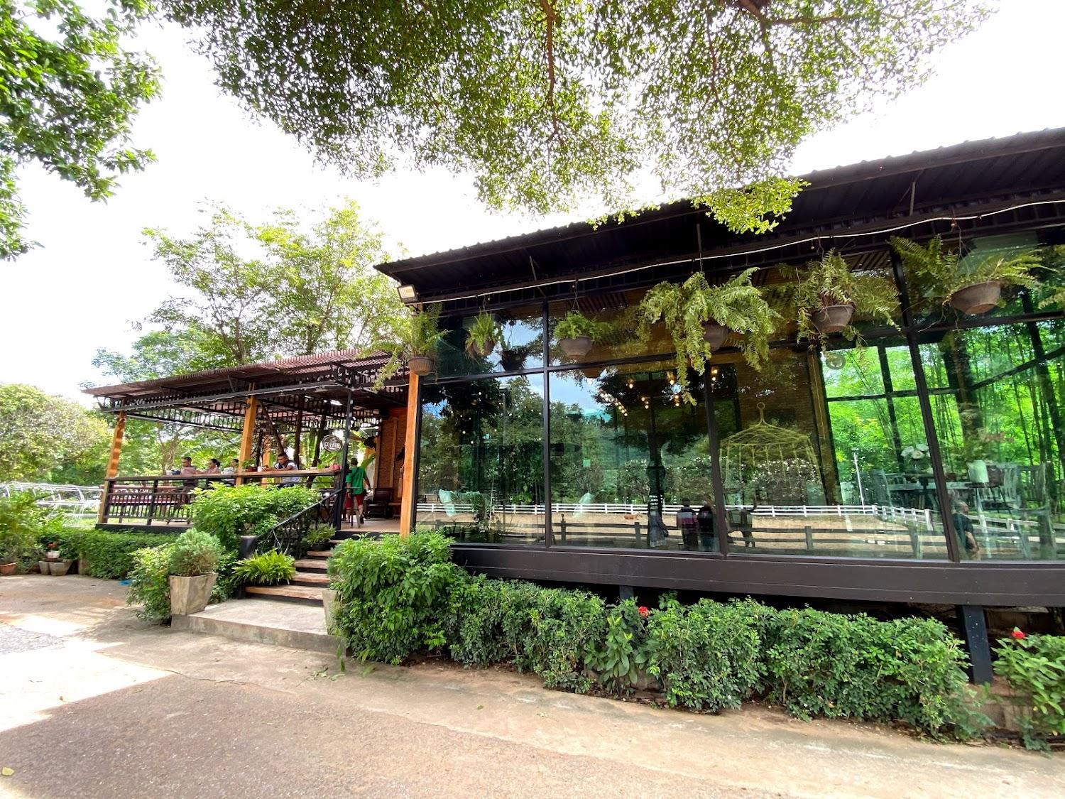 Cover Image for Chaowanat Horse Farm