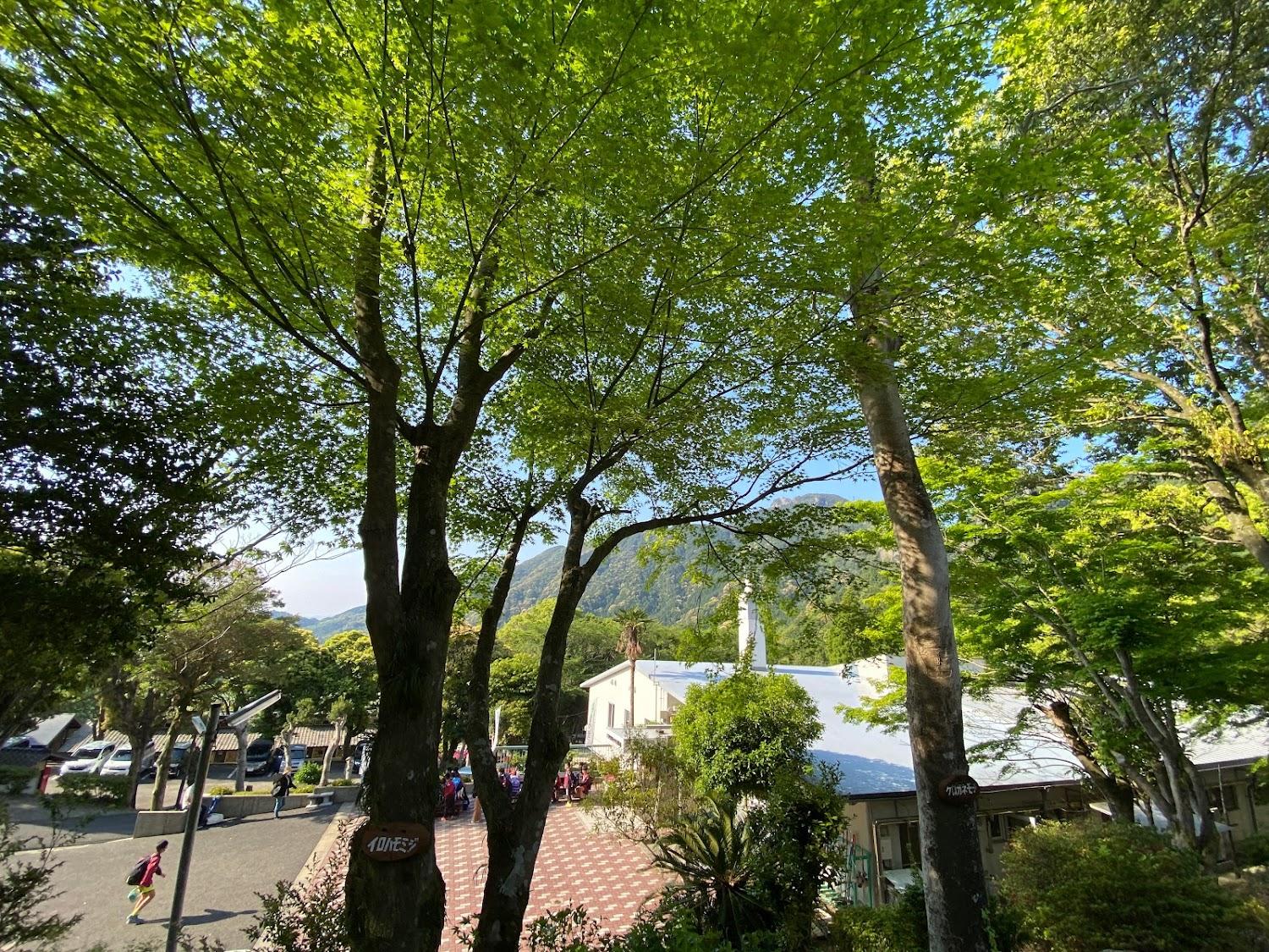 Cover Image for 佐賀県 黒髪少年自然の家