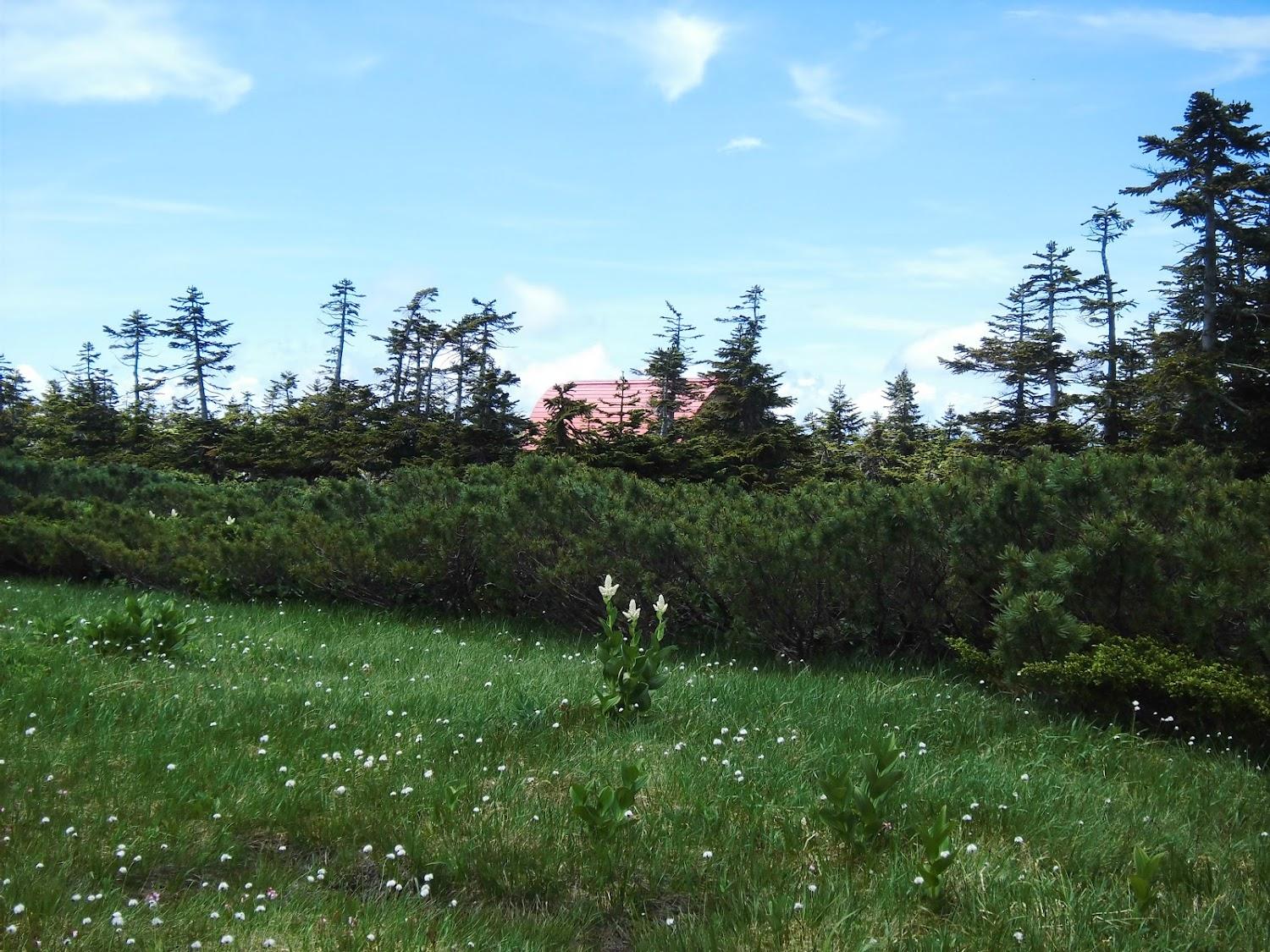 Cover Image for Nishi-azuma Hut
