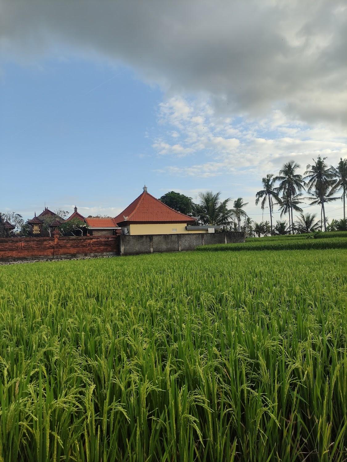Cover Image for Sujiwa Ubud Retreat Villa