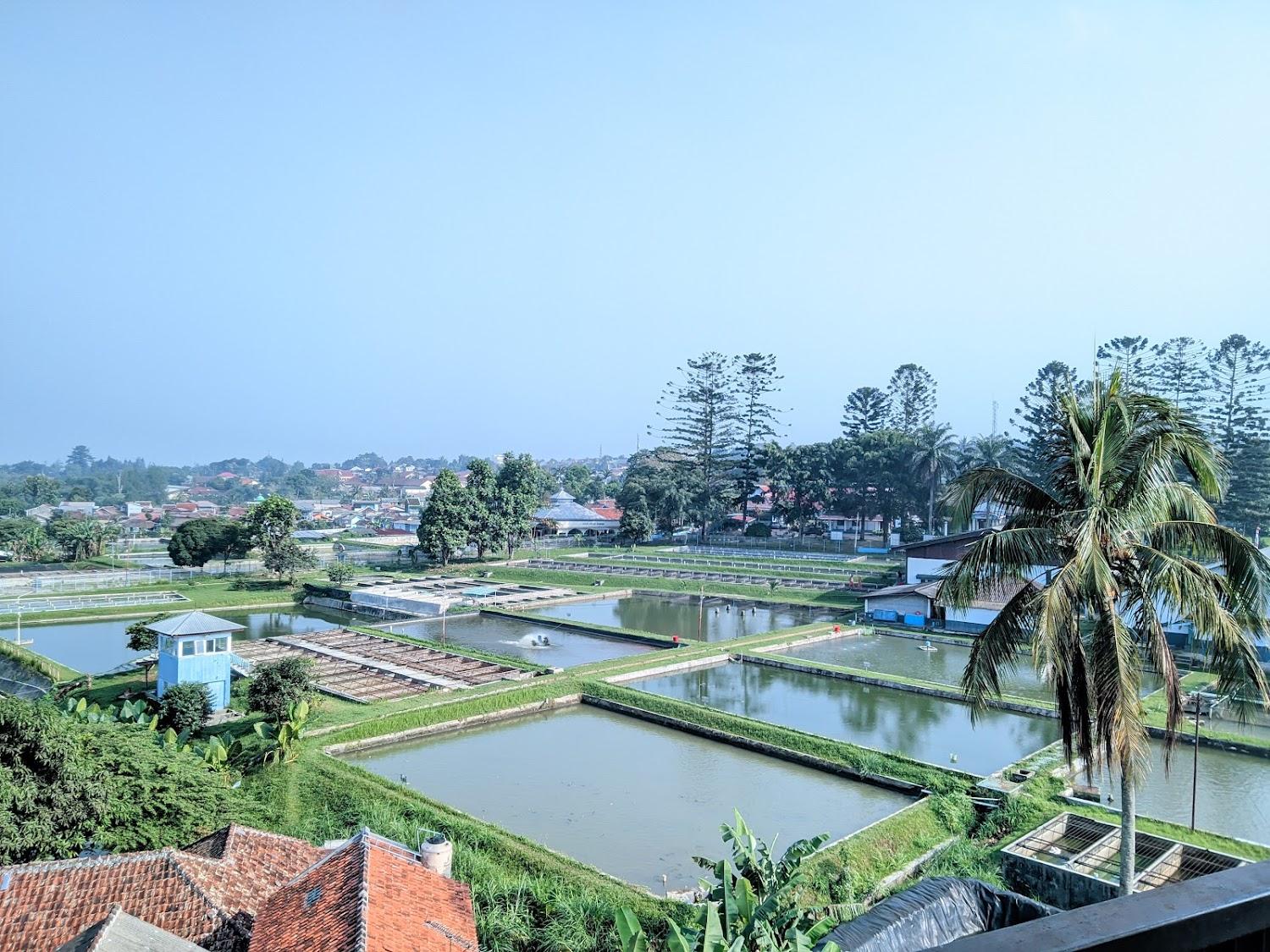 Cover Image for Hotel Balcony