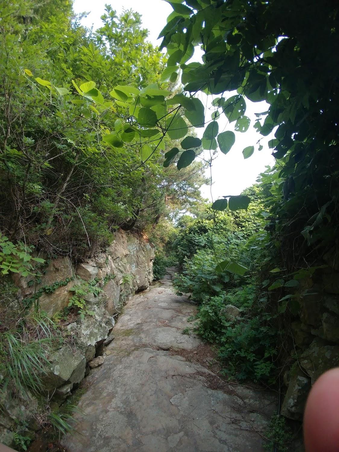 Cover Image for 엘피라펜션