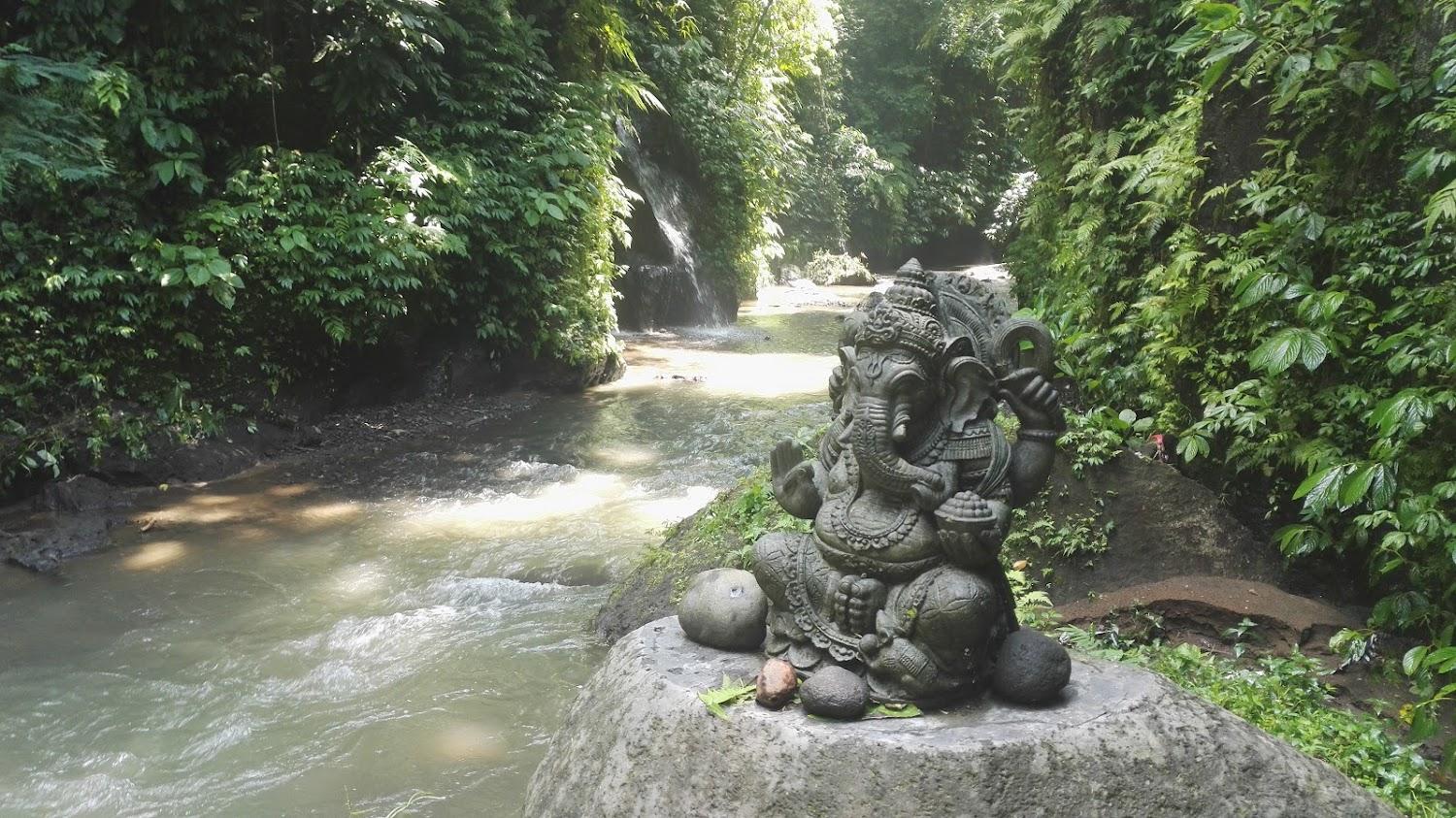 Cover Image for Bali Bamboo Jungle Huts and Hostel