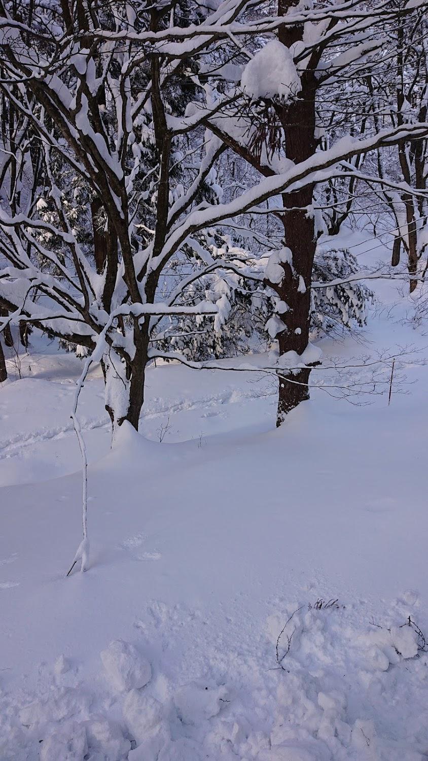 Cover Image for Kimimachizaka Camping Ground
