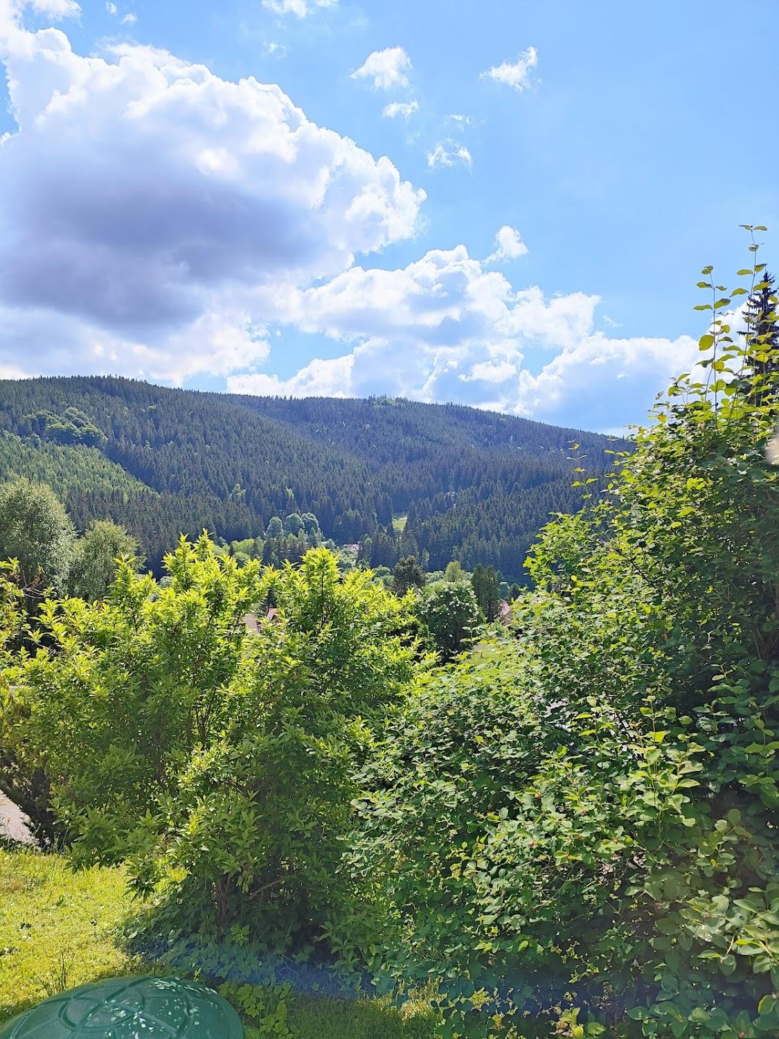 Cover Image for Pension Am Waldesrand