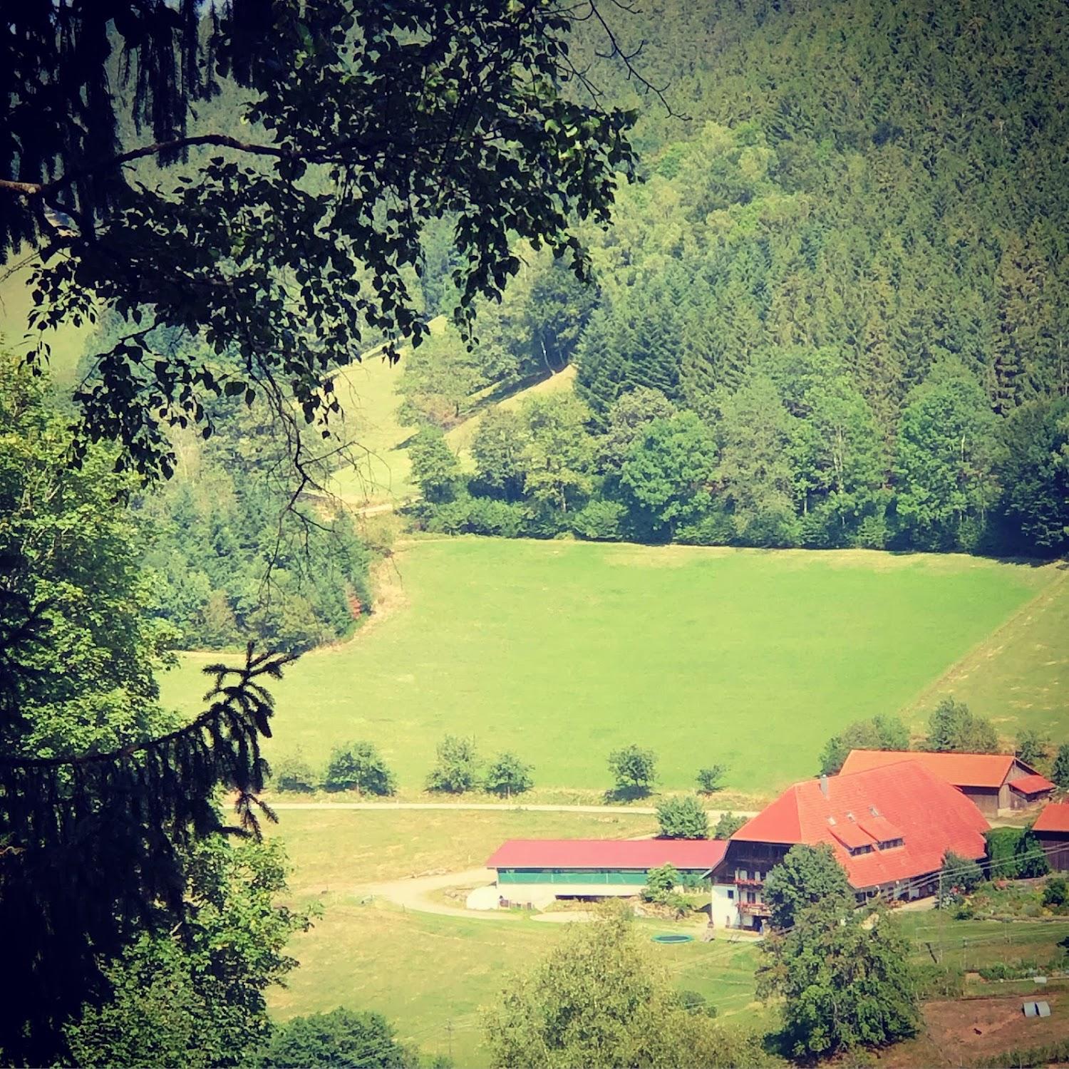 Cover Image for Jungbauernhof - Urlaub auf dem Bauernhof