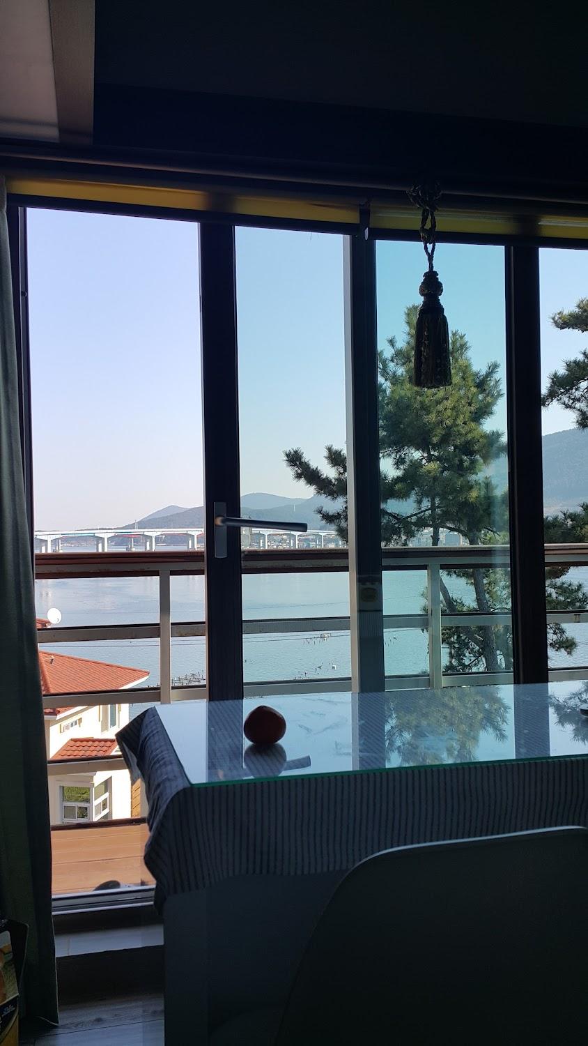 Cover Image for 히아신스펜션
