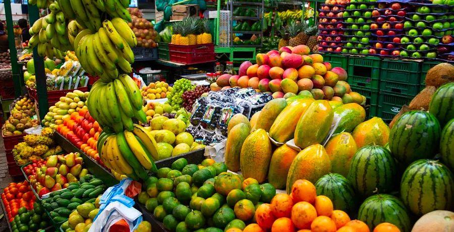 Cover Image for Dinogo's Ultimate Guide to Bogotá