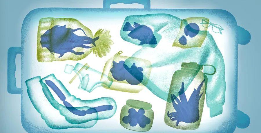 Cover Image for The Perils and Benefits of Traveling With Food