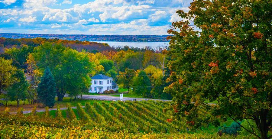Cover Image for A Dinogo’s Guide to the Finger Lakes