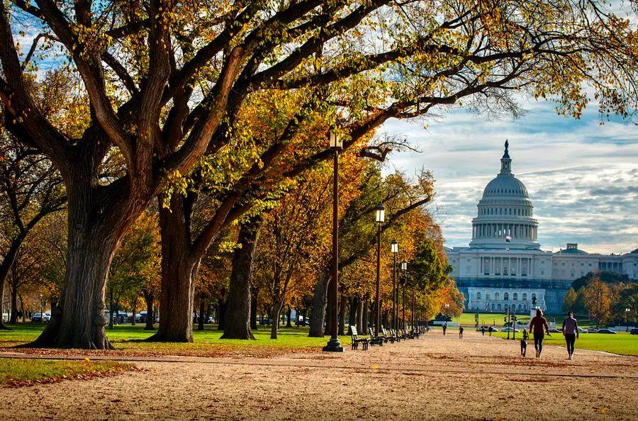 Cover Image for A Guided Walking Tour of the National Mall in Washington, DC