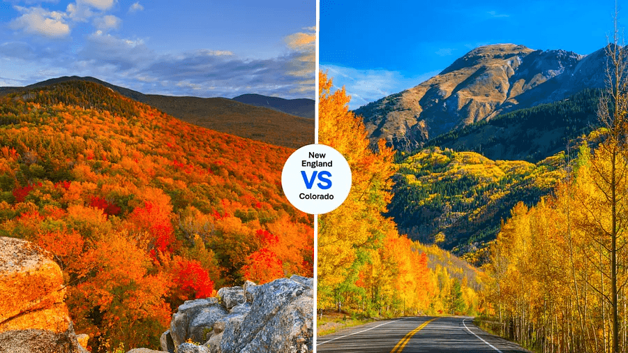 Cover Image for New England maples versus Colorado aspens: which region in the US boasts the best fall colors?
