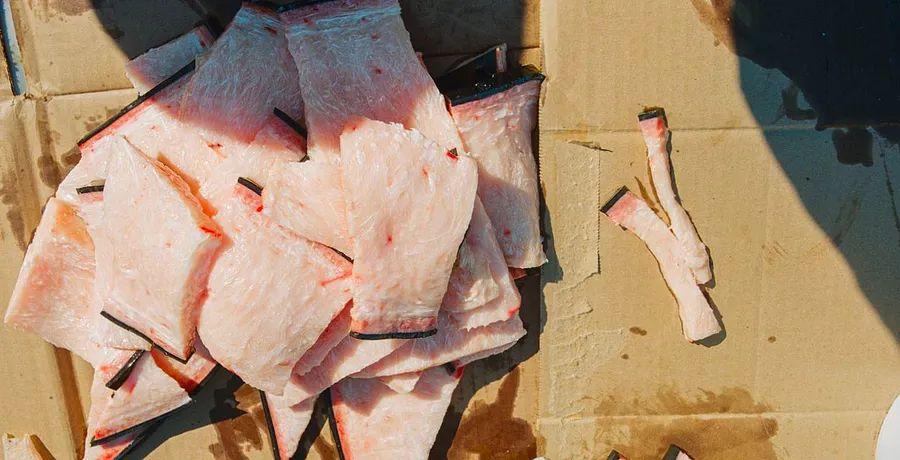 Cover Image for Whale Served with Kimchi