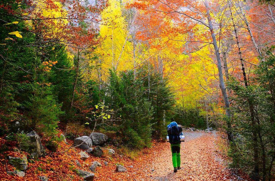 Cover Image for The 6 top spots to explore in Spain this Autumn