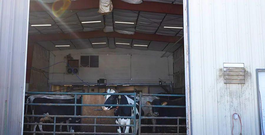 Cover Image for Introducing Alaska’s Final Milk Producer