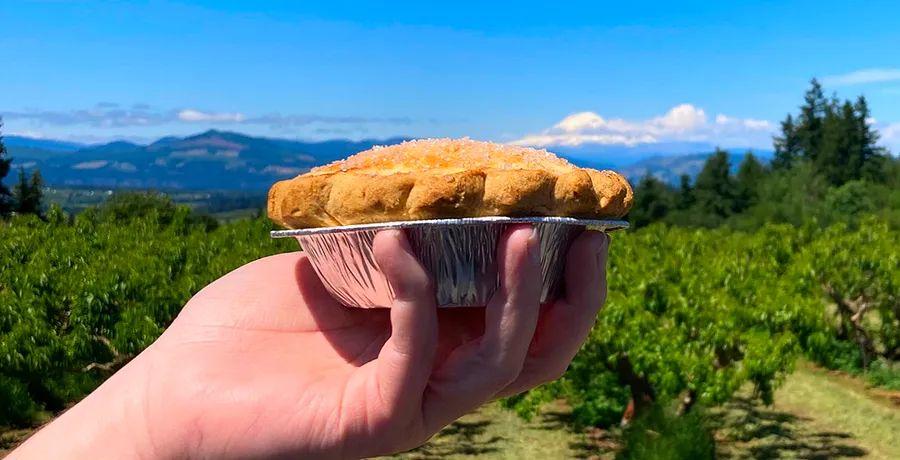 Cover Image for Savor the Columbia River Gorge: A Local's Guide to Eating and Drinking