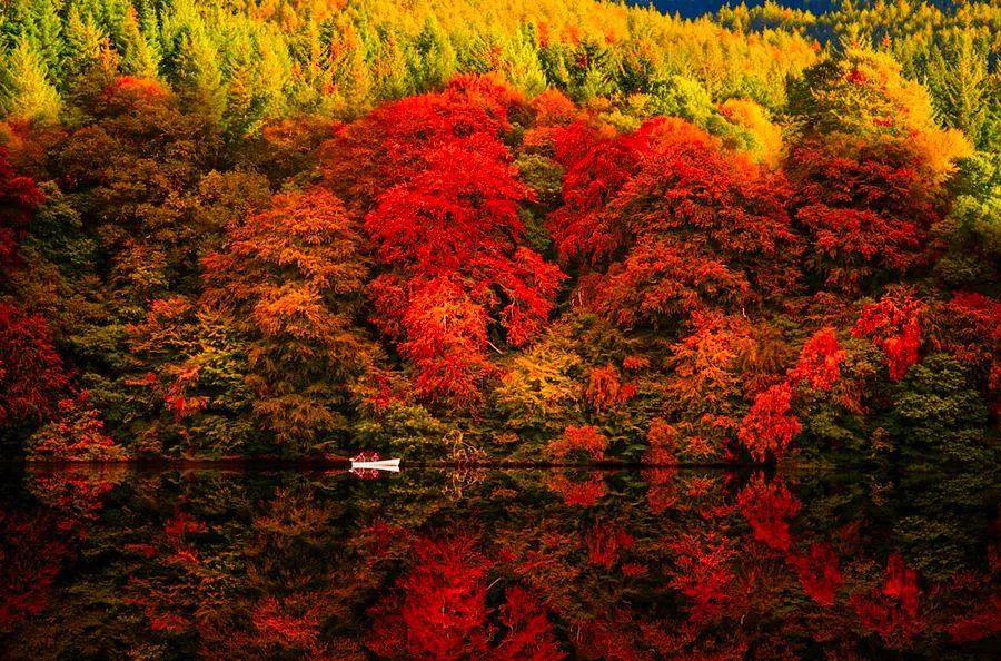 Cover Image for 10 Stunning Locations to Experience Fall Foliage in 2024
