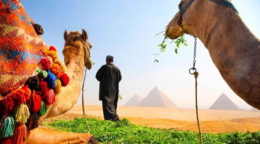 Cover Image for 14 essential insights before traveling to Egypt