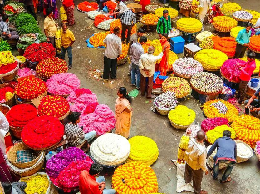 Cover Image for 20 essential tips for your journey to India