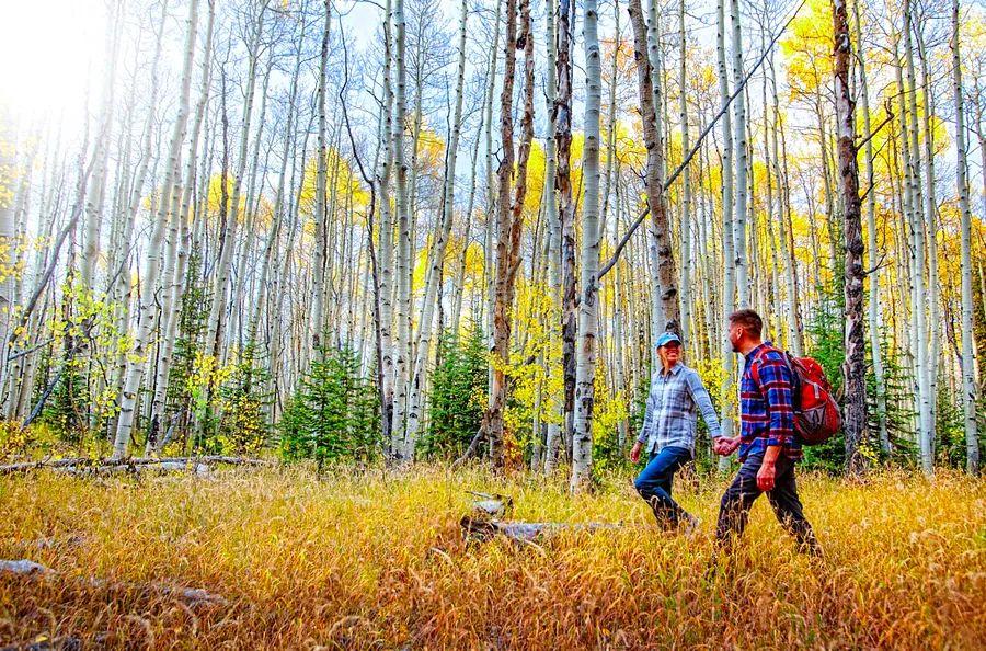 Cover Image for 14 top weekend escapes for couples across the USA