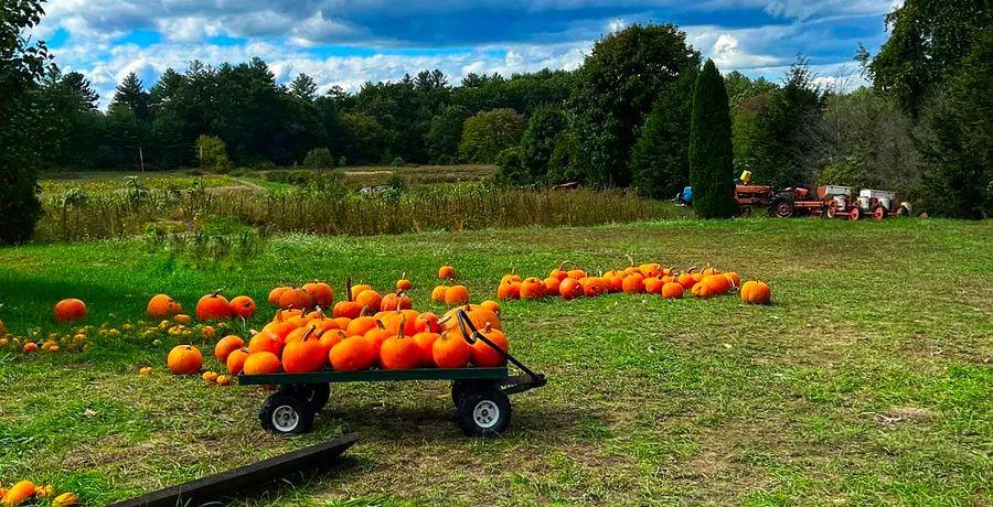 Cover Image for 30 Must-Visit Restaurants in the Pioneer Valley, Home of the Five College Consortium