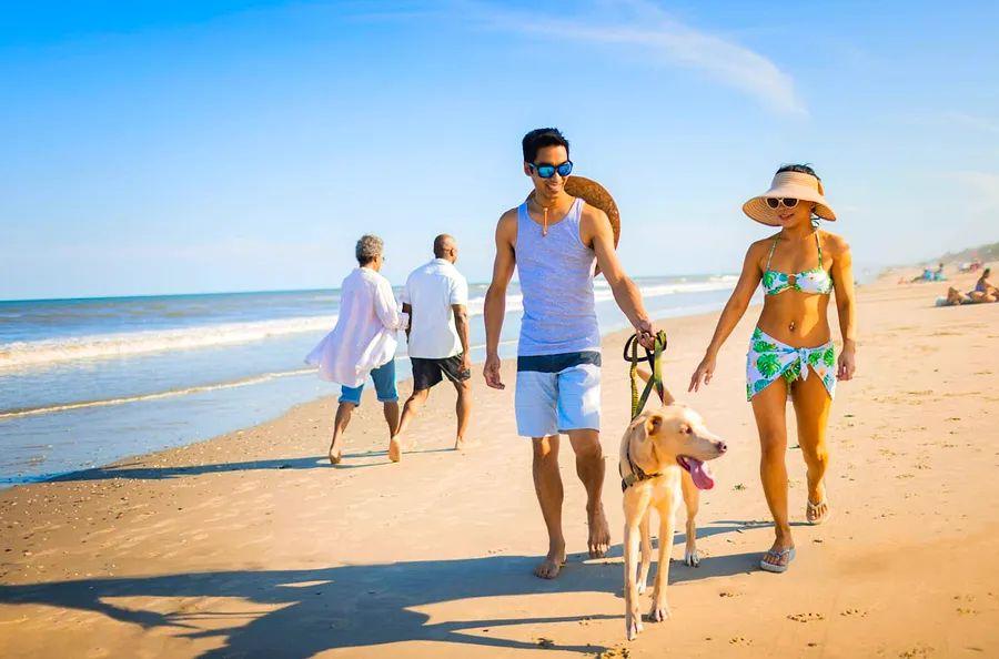 Cover Image for The 16 Best Beaches in North Carolina for Swimming, Surfing, and Sea Turtles