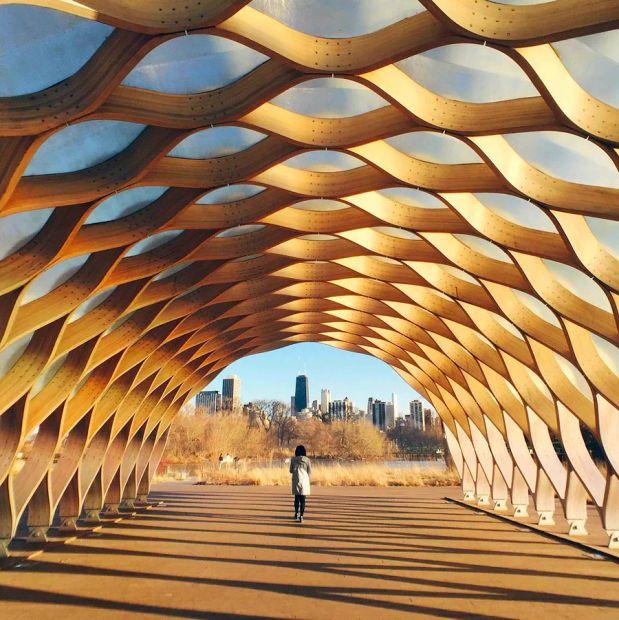 Cover Image for 17 essential tips for your trip to Chicago