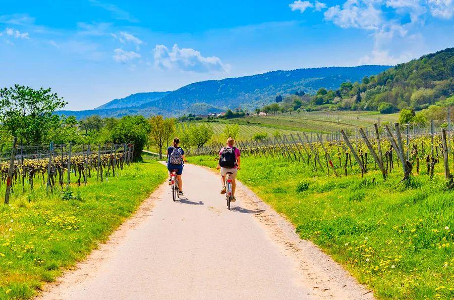 Cover Image for Top 8 Cycling Routes in Germany