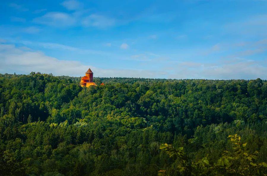 Cover Image for A beginner's guide to Latvia