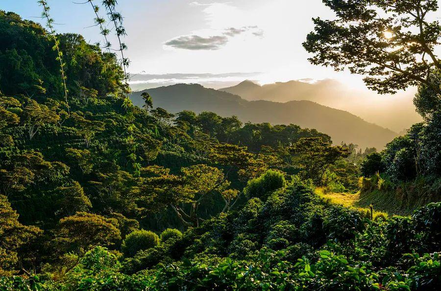 Cover Image for A Beginner's Guide to Chiriquí, Panama