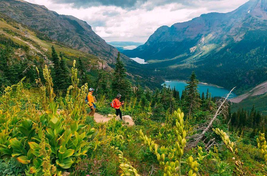 Cover Image for Top 9 activities to experience in Montana