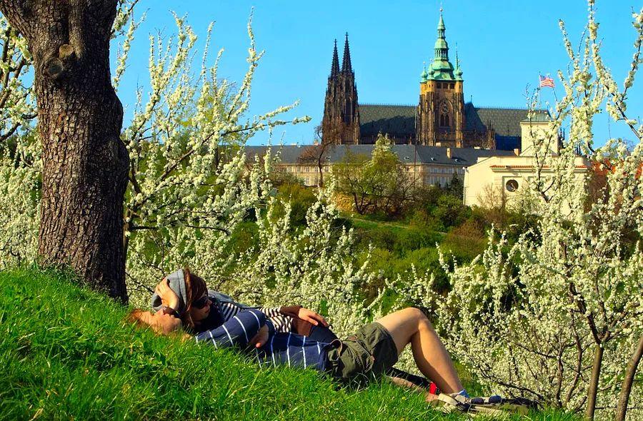 Cover Image for 13 essential insights before visiting Prague, Czech Republic