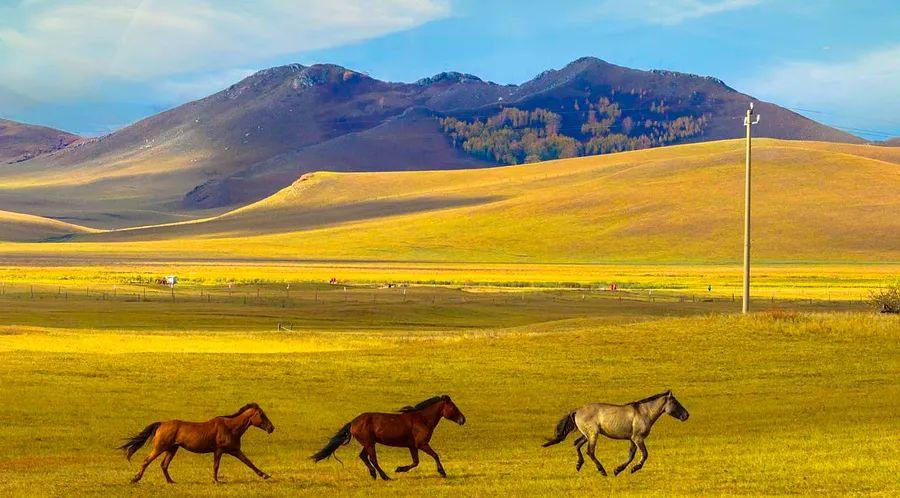 Cover Image for What is the best time to visit Kazakhstan?