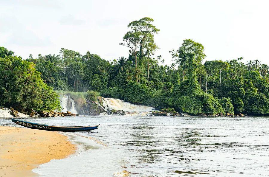 Cover Image for A Beginner's Guide to Cameroon