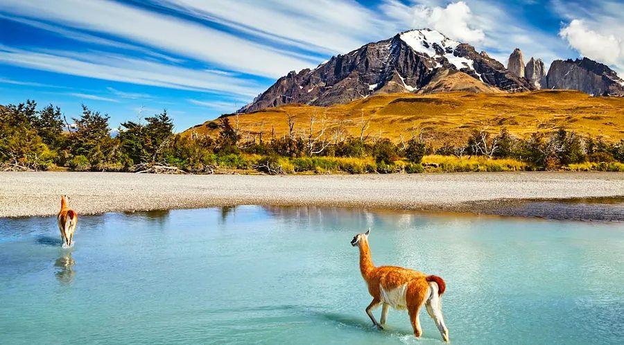 Cover Image for 18 amazing activities to experience in Patagonia