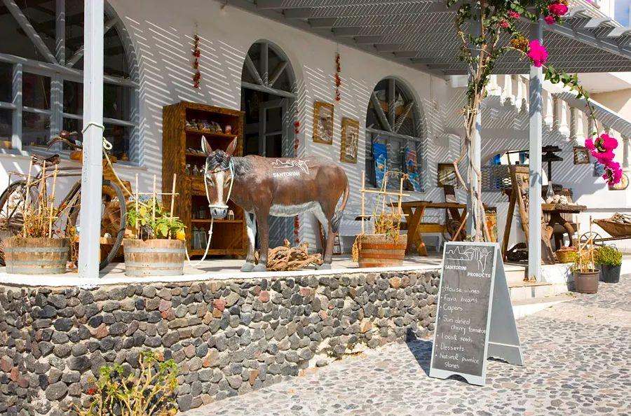 Cover Image for 11 top activities to experience in Santorini