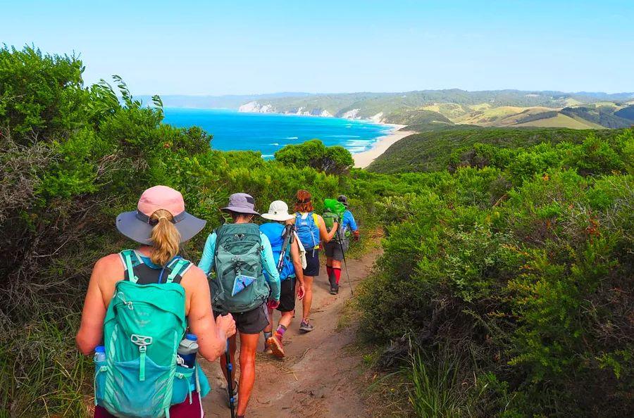 Cover Image for A Day Hiker’s Guide to Australia’s Great Ocean Walk