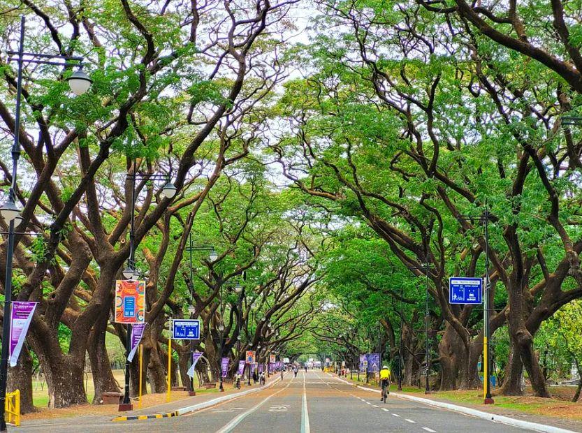 Cover Image for Urban walks: Lush landscapes and street food await on a stroll through Quezon City, Metro Manila